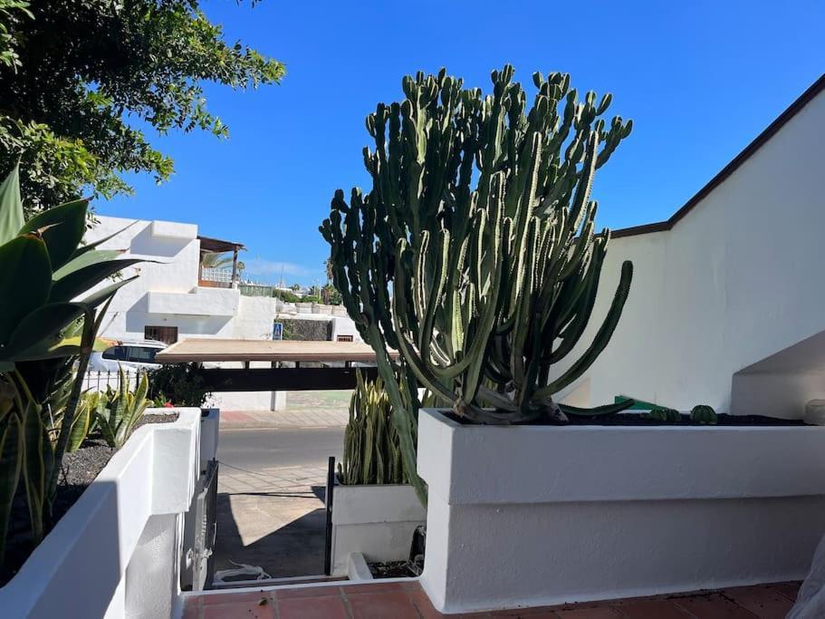 פוארטו דל כרמן Paradise Playa Chica Con Terraza A 100M Del Mar מראה חיצוני תמונה