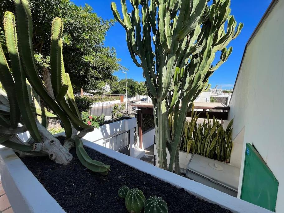 פוארטו דל כרמן Paradise Playa Chica Con Terraza A 100M Del Mar מראה חיצוני תמונה